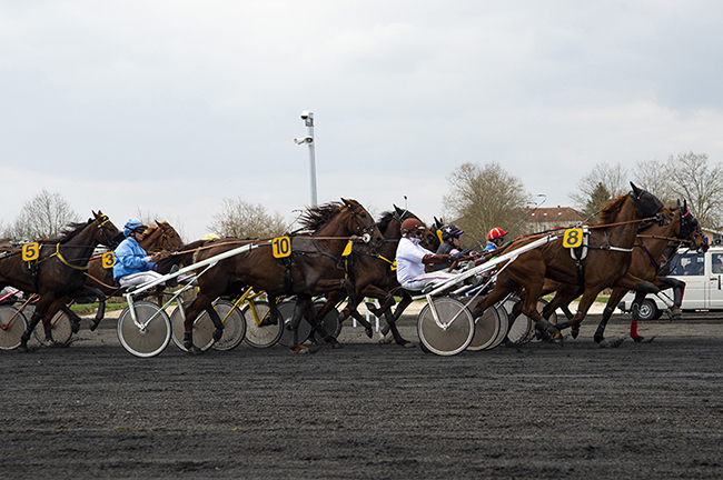 Intégration discrète du dispositif au bord de piste